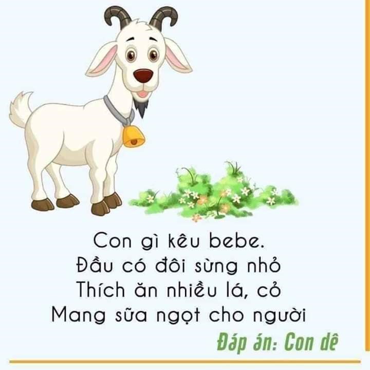 Câu đố về con dê | Trường mầm non Nam Sơn