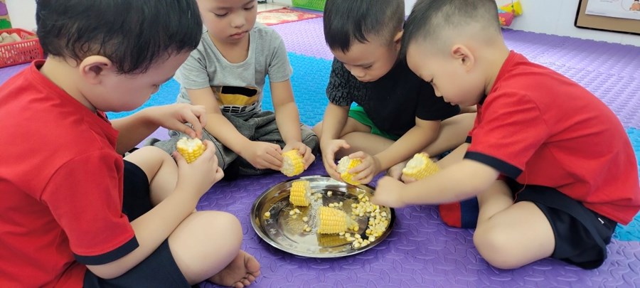 Nhấn vào ảnh để phóng to