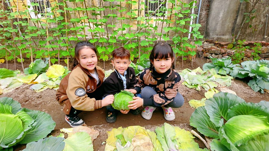 Nhấn vào ảnh để phóng to