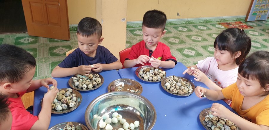 Nhấn vào ảnh để phóng to