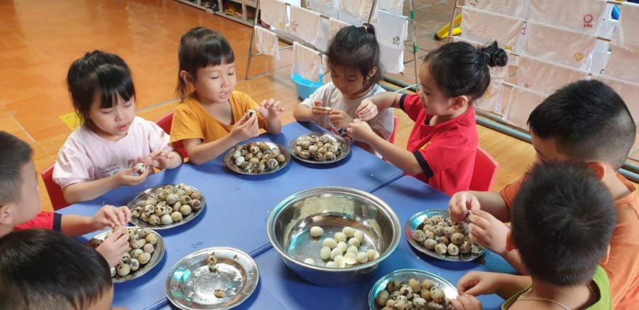 Nhấn vào ảnh để phóng to