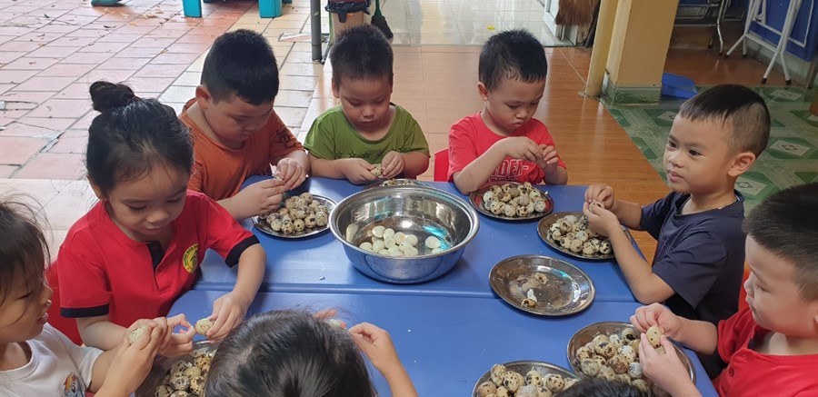 Nhấn vào ảnh để phóng to