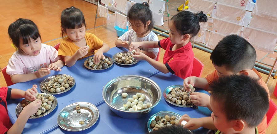 Nhấn vào ảnh để phóng to