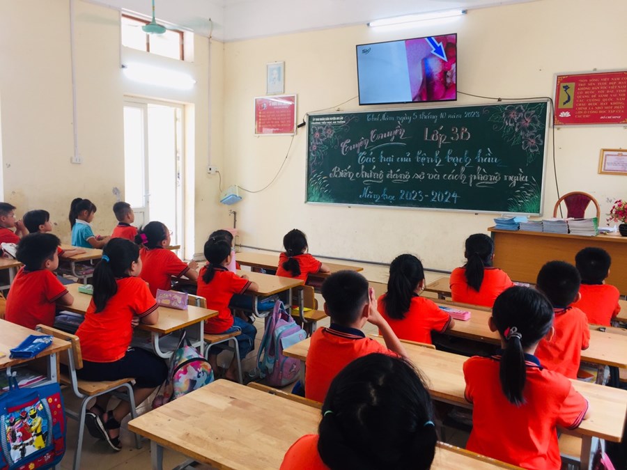 Nhấn vào ảnh để phóng to