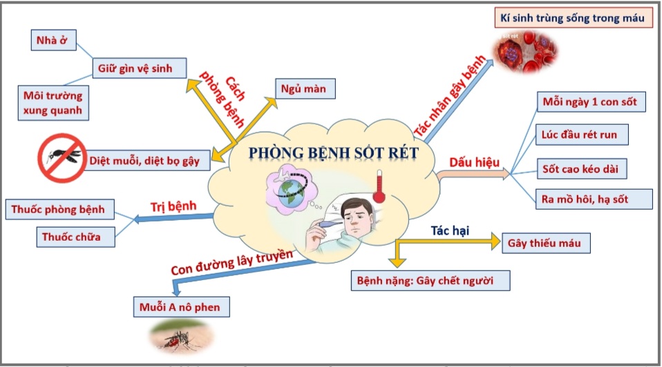 Cách Vẽ Sơ Đồ Tư Duy Khoa Học: Hướng Dẫn Chi Tiết và Các Phương Pháp Hiệu Quả