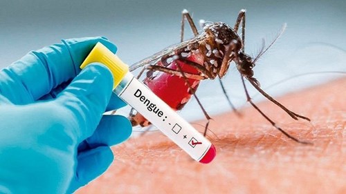Những điều phụ huynh cần biết về dịch sốt xuất huyết  Dengue