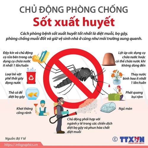 Tăng cường giám sát, phòng chống bệnh sốt xuất huyết